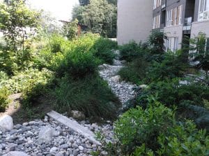 stormwater