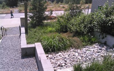 Why are we Seeing More Municipalities Moving Toward Stormwater Infiltration?