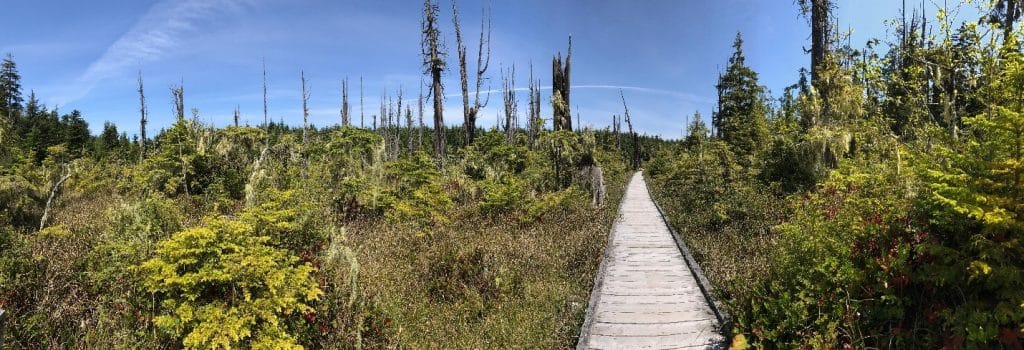 British Columbia Wetlands