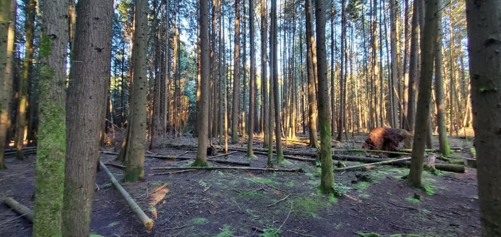 British Columbia Wetlands