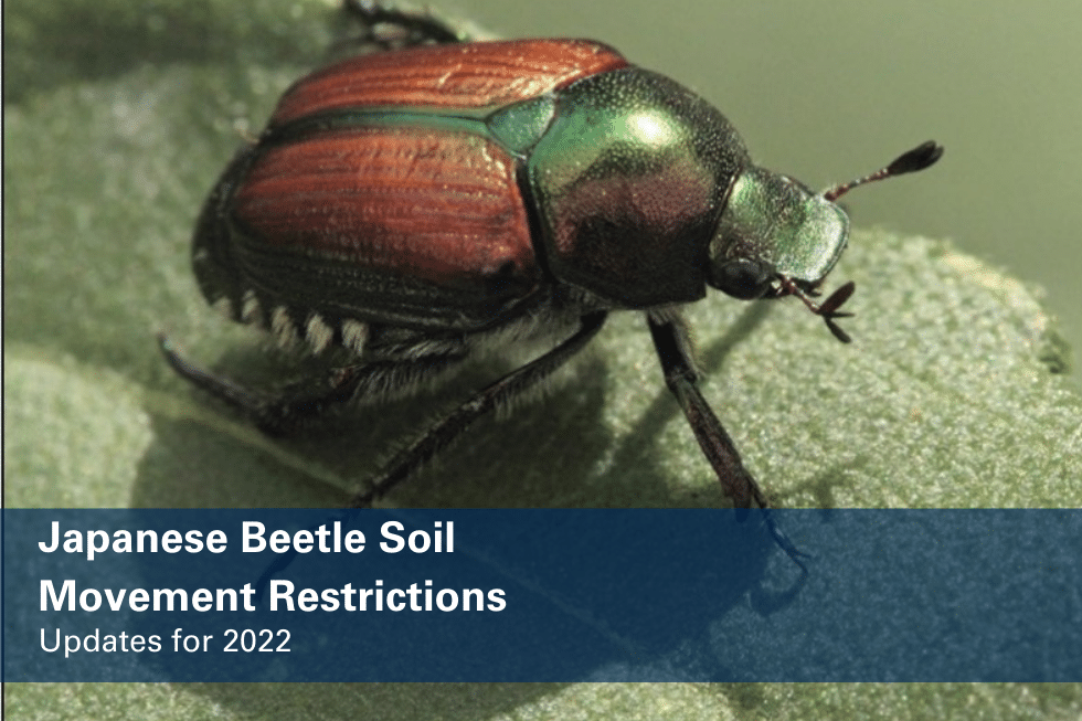 Japanese Beetle Soil Movement Restrictions – Updates for 2022