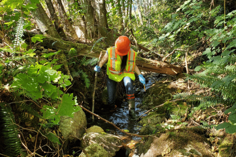 Do You Know About Our Riparian Areas Protection Regulation Services?